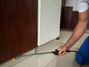 Pest control expert in Dubai treating commercial space