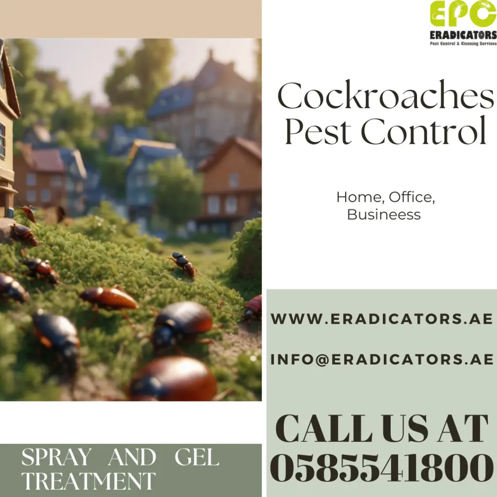 Cockroaches in Dubai causing allergies and contaminating food, requiring professional pest control services.
