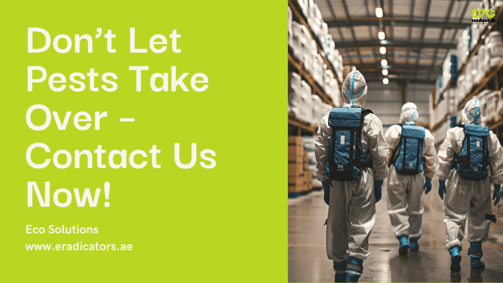 Pest Control treatment by Eradicators, Dubai’s leading pest control company