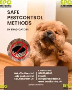 co-friendly pest solutions in Dubai pest control in Dubai eco-friendly pest control services