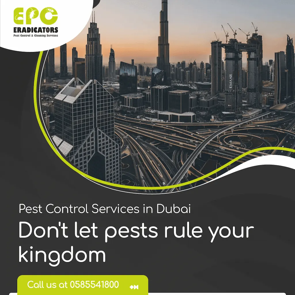 Seasonal pest control tips for Dubai homes by Eradicators Pest Control
