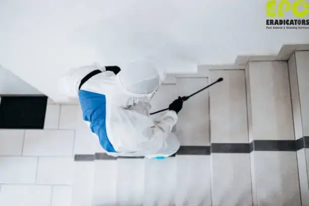 Technician performing pest control in Dubai