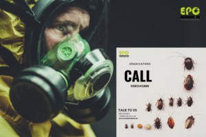 Emergency pestcontrol 24 hours services eradicators pestcontrol dubai