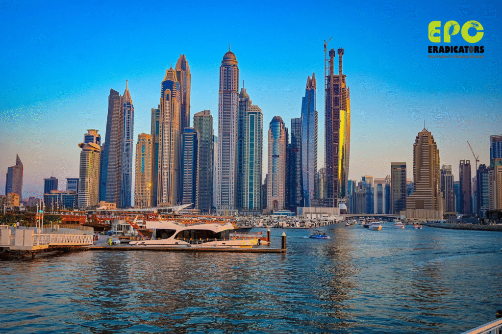 Pest control Dubai Marina Best Pest Control