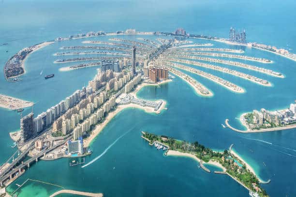 Palm Jumeirah Dubai Pest Control Pest Control Near Me