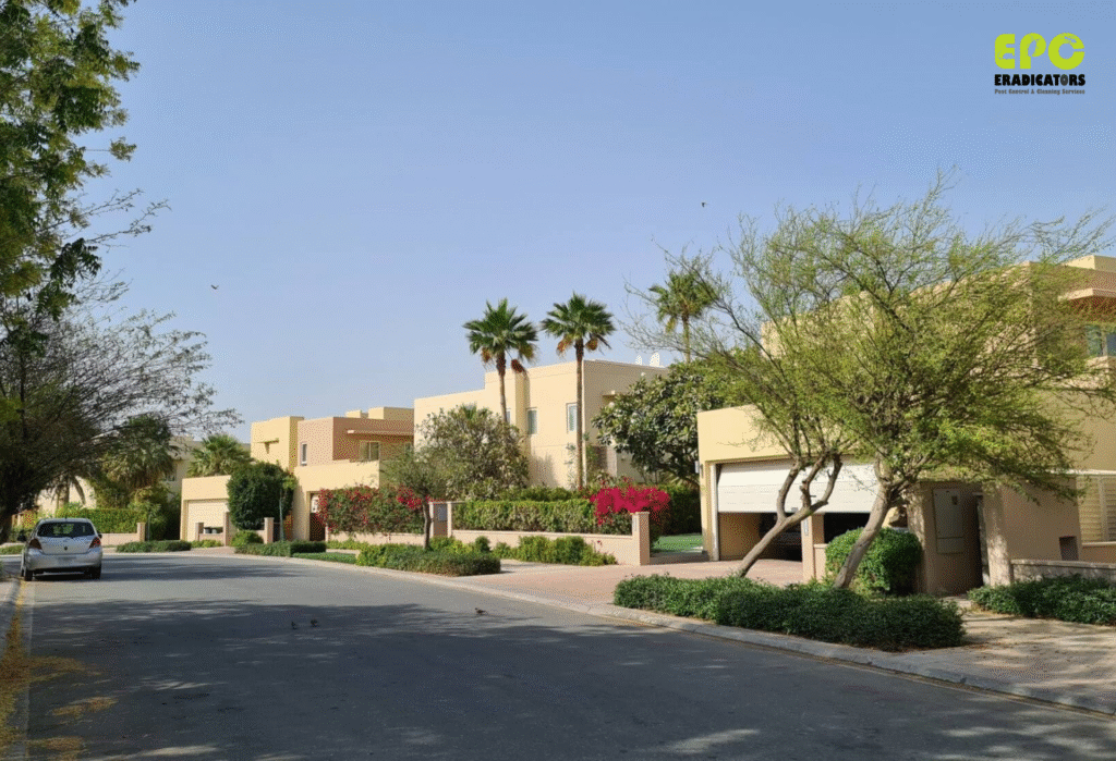 pestcontrol near me pestcontrol dubai pestcontrol ants cockroaches rats rodent flies arabian ranches
