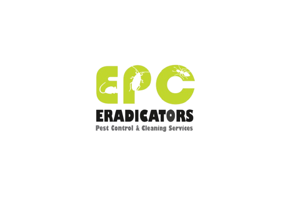 Top Pest Control Dubai | Affordable & Eco-Friendly Pest Services