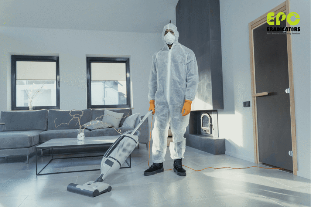Eradicators professional technician performing safe pest control services in a clean residential home in Dubai