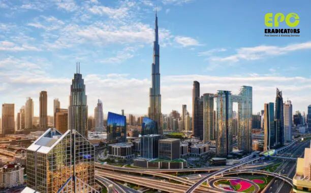 Stunning view of the Dubai skyline at sunset, representing the ultimate guide to pest control in the city.