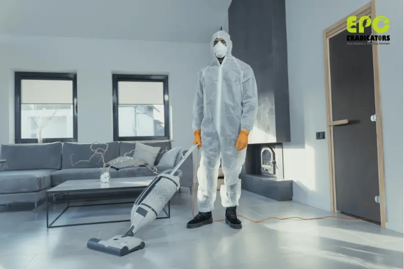 Pest Control near me Dubai Villa Pest Control, Pest Treatment Dubai, Office Pest Control Dubai, Dubai Residential Pest Services, JLT Pest Control, Dubai Marina Rodent Removal