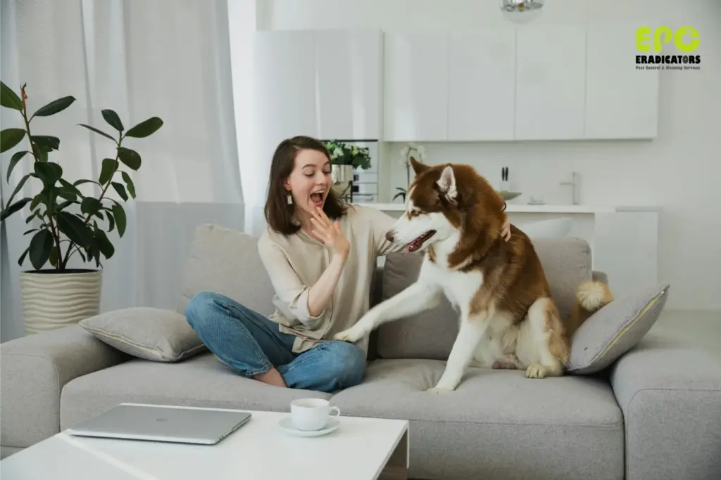 Family and pet-conscious pest treatment
