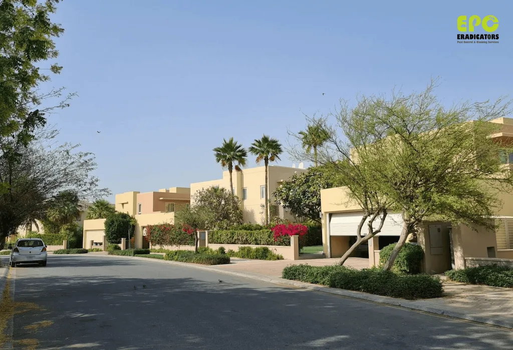 Villa pest control in Arabian Ranches Dubai by Eradicators pestcontrol near me pestcontrol dubai pestcontrol ants cockroaches rats rodent flies arabian ranches