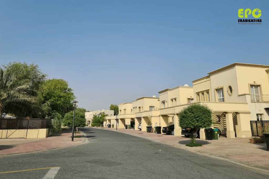 Pest control in The Springs Dubai by Eradicators Pest Control